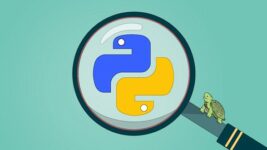 Python & Turtle - A Practical Guide for Beginners and Beyond