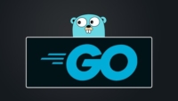 Go – The Complete Guide